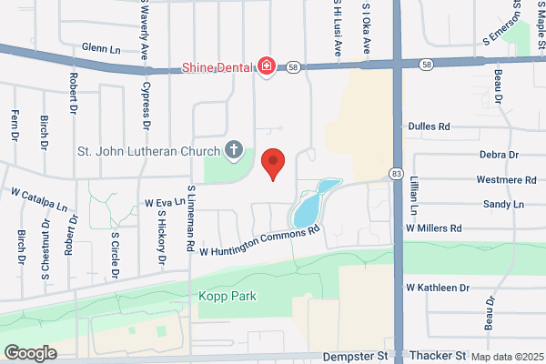 Mt Prospect Senior Citizens Service