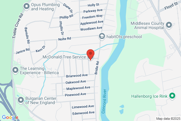 MacDonald Tree Service