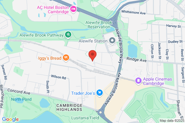 Hanover Alewife