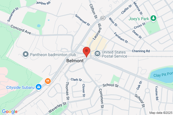 Belmont Lions Club