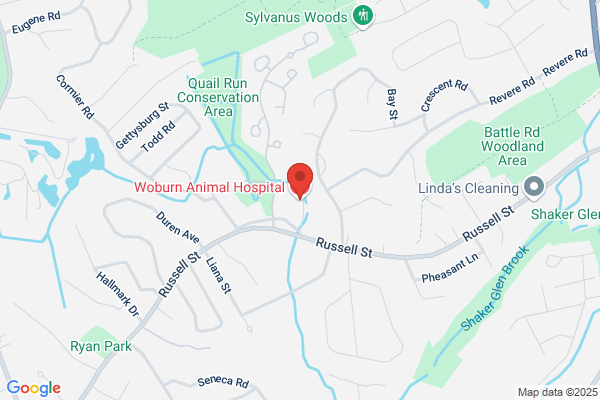 Woburn Animal Hospital