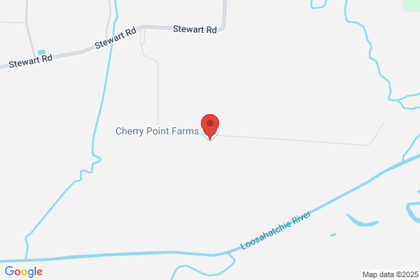 Cherry Point Sod Farm Llc