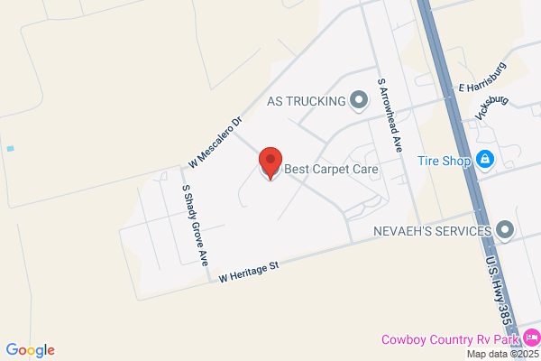 best carpet care