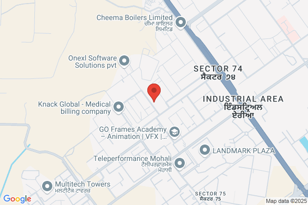 Offshore Software Services, Inc