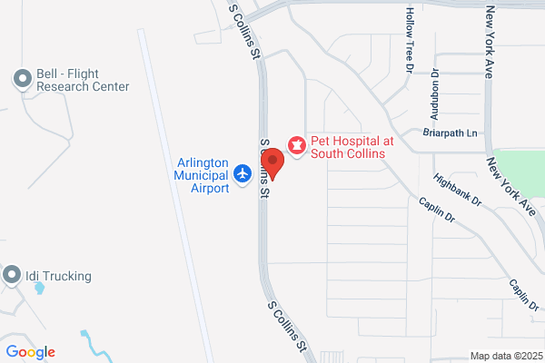 I-20 Family Dental