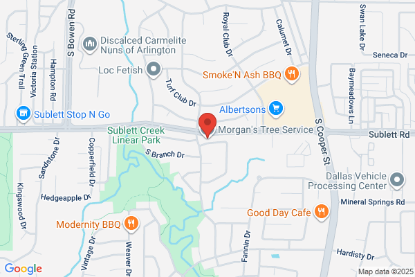 Morgan Tree & Stump Removal