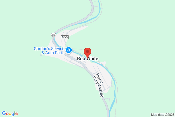 White Bob & Sons Inc