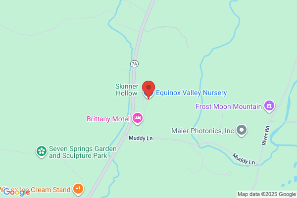Equinox Valley Real Estate
