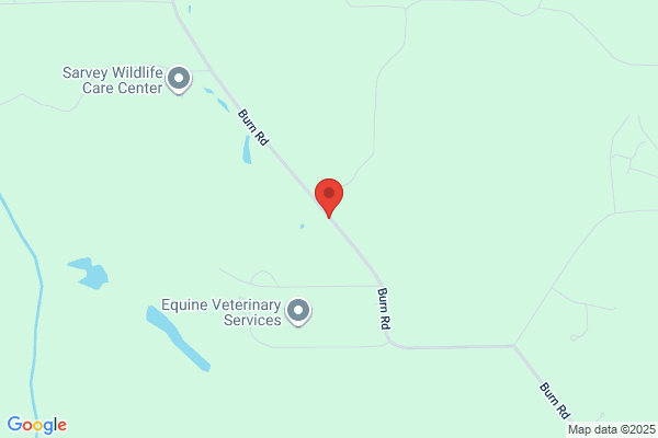 Brush Cutting & Mowing Inc