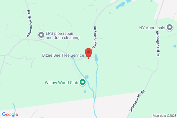 Bizee Bee Tree Service