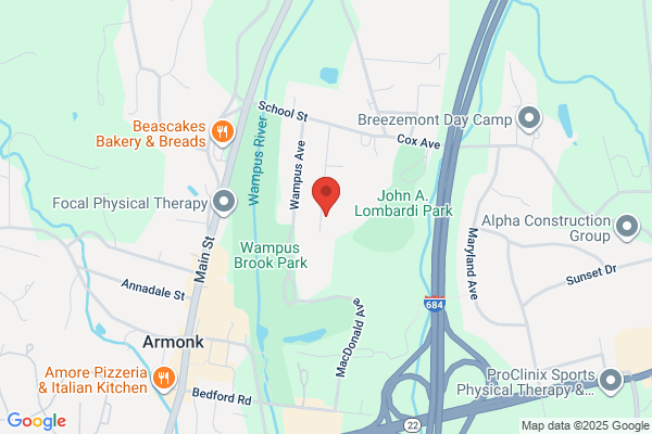 Armonk Plumbing Services Inc