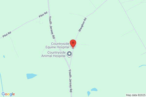 Countryside Equine Veterinary Service Inc