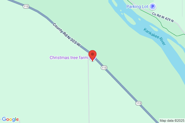 Phillipstown Christmas Tree Farm