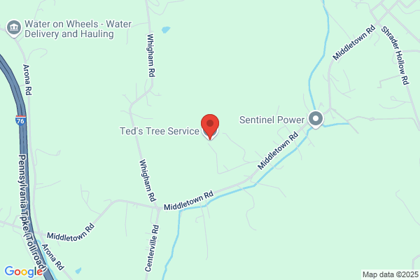 Ted's Tree Service