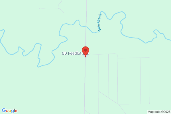 C & D Farms Inc, Feedlot
