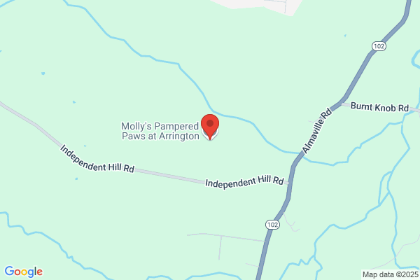 Dogwood Hollow