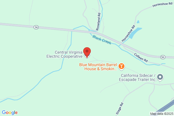 Central Virginia Services Inc