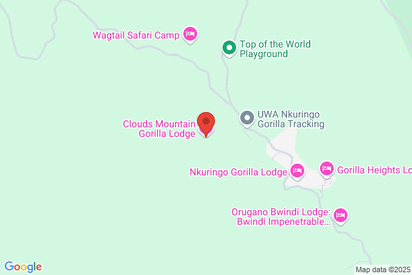 Cloud 9 Lodge