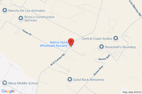 Seaglass Wholesale Nursery