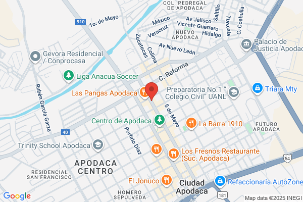 Apodaca Pest Control