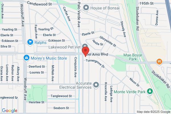 Neighbors Plus Insurance Services