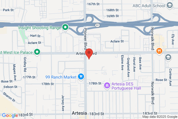 Hollywood Video