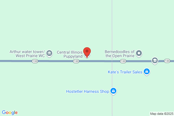 Central Illinois Puppyland