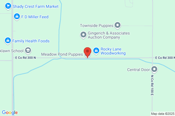 Meadow Pond Puppies