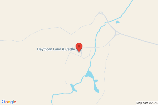 Haythorn Land & Cattle Co Home Place, Cookhouse
