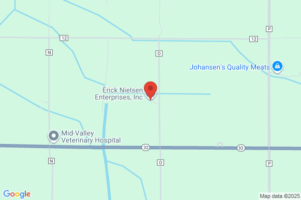 Erick Nielsen Enterprises Inc