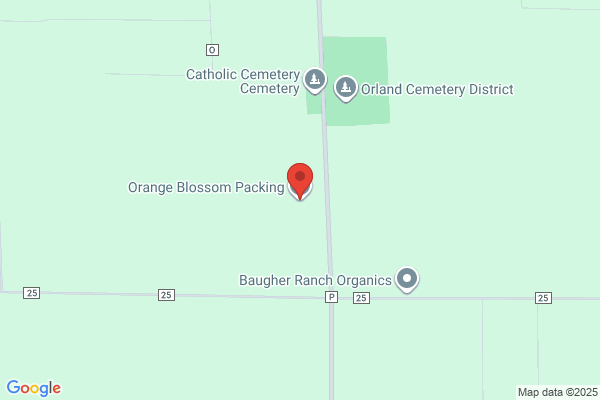 Orange Blossom Packing