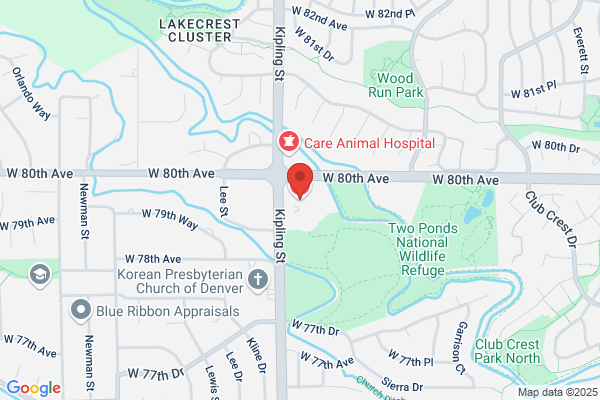 Lesch Family Dental