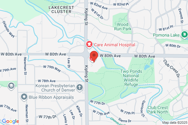 Western Orthopaedics, P.C.