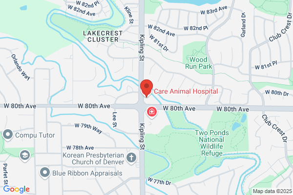 Care Animal Hospital