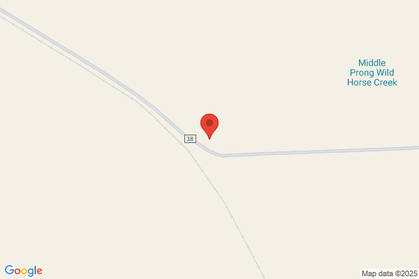 Powder River Horses