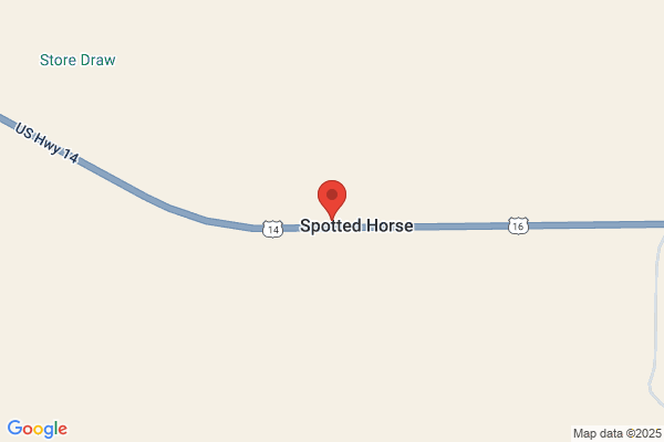 Spotted Horse Bar