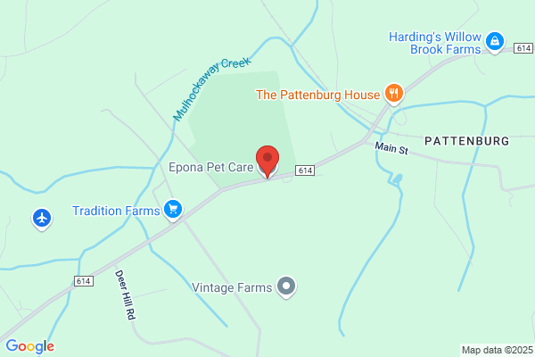 Epona Pet Care