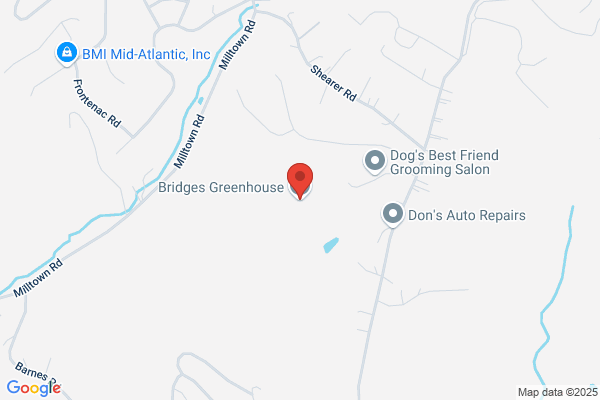 Bridges Greenhouse