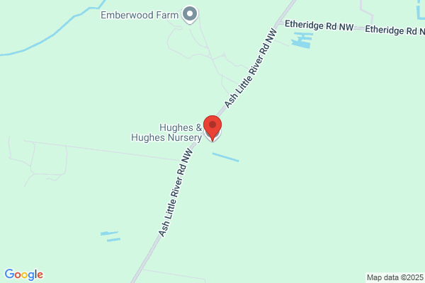 Hughes & Hughes Nursery