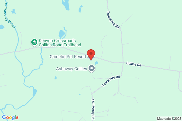 Camelot Pet Resort
