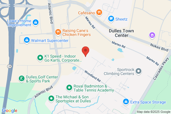 Reston Limousine