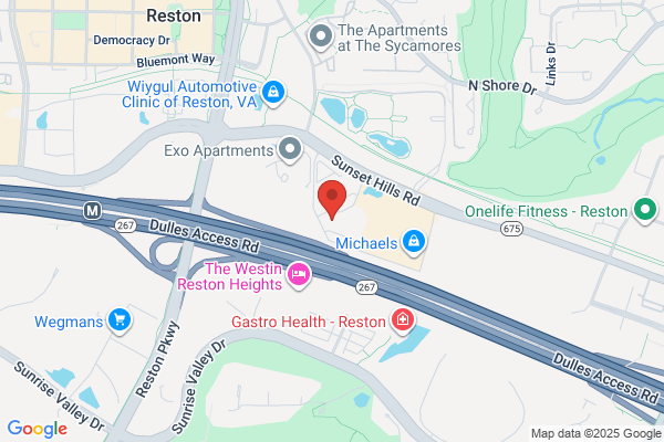 Reston Technology Group Inc