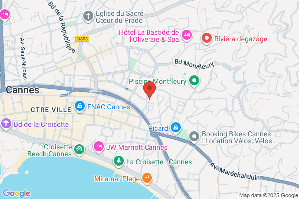 Limousine & Travel