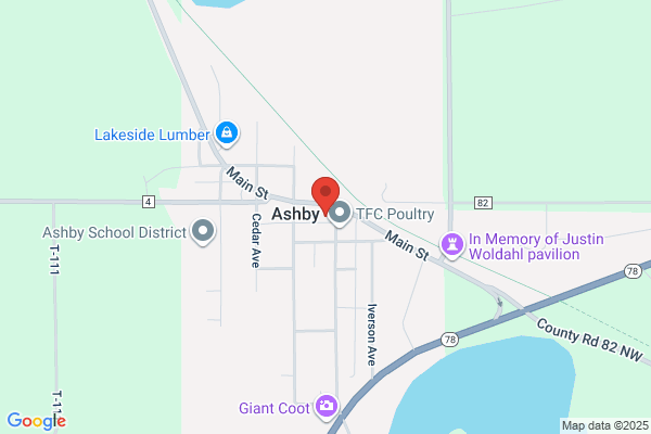 NAPA Auto Parts - Ashby Equity Parts