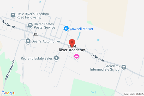 Little River County Training School Alumni