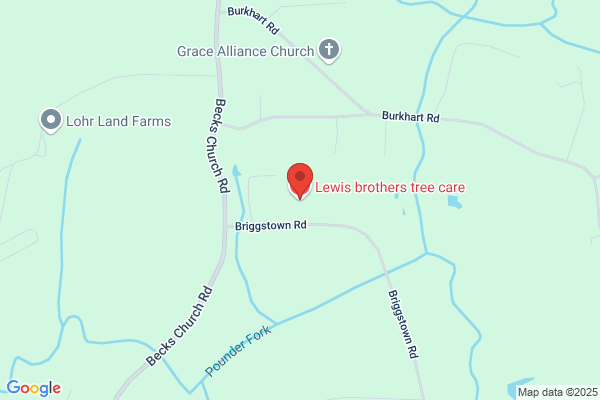 Lewis Tree Service