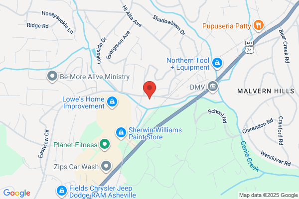 Mountain Area Pregnancy Services