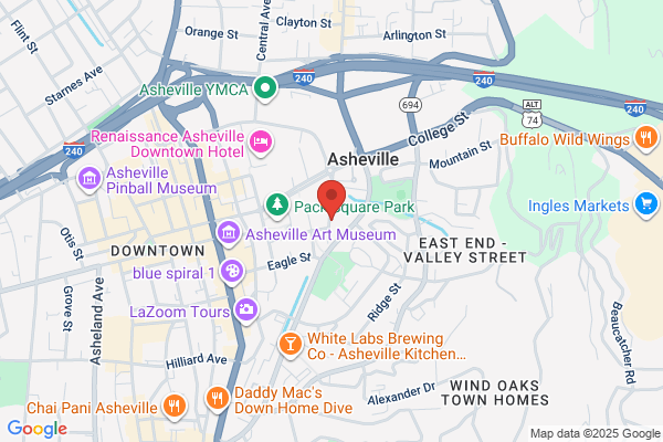 Asheville City of, Planning and Development Department, City Development