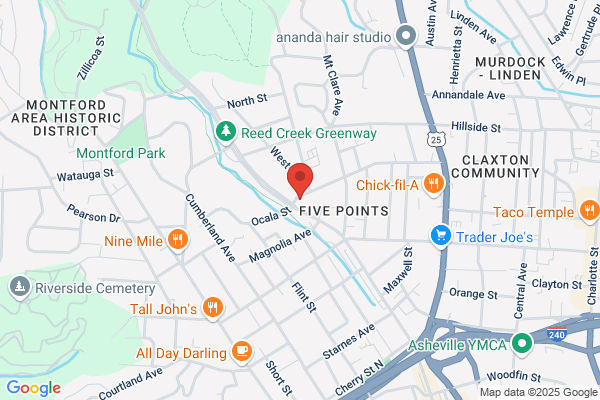 Asheville Daily Planet the