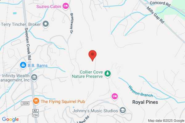 Mountain Area Information Network